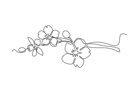 Single one line drawing Cherry tree spring flower. Cherry blossom concept. Continuous line draw design graphic vector illustration. 19510795 Vector Art at Vecteezy Cherry Blossom Line Art Tattoo, Cherry Blossom Line Tattoo, Cherry Blossom Fine Line Tattoo, Cherry Blossom Line Drawing, Mugunghwa Tattoo, Lilac Line Art, Flower Tree Drawing, Cherry Blossom Tattoo Stencil, Cherry Blossom Tattoo Minimalist