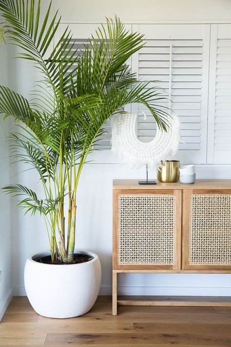 The wicker console, the palm, the eclectic neckpiece, the brass vase, the wood floors. What's not to love about this beautifully curated entryway!  . . . . . #entryway #eclecticinteriors #smallspacedesign #contemporaryinteriors #bohochic #bohoentryway Tanaman Indoor, Tanaman Pot, نباتات منزلية, Farmhouse Side Table, White Pot, Cute Dorm Rooms, Bedroom Plants, Style At Home, Farmhouse Living