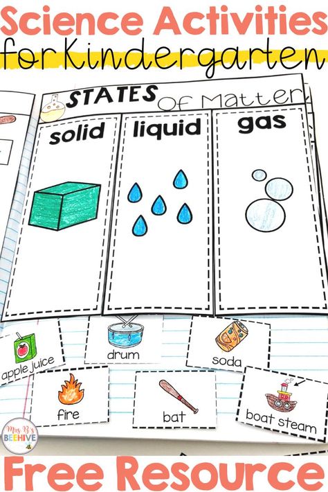 States of matter freebie to help your kindergarten students learn the difference between solids, liquids, and gases. #statesofmatter #science #kindergarten Kindergarten Science Lessons, Solids Liquids And Gases, Interactive Journals, Kid Experiments, Kindergarten Lesson Plans, States Of Matter, Science Journal, Kindergarten Lessons, Homeschool Kindergarten