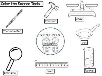 Science Tools Worksheet, Worksheet 1st Grade, Worksheet Kindergarten, 1st Grade Science, First Grade Science, Science Tools, 4th Grade Science, 5th Grade Science, About Science