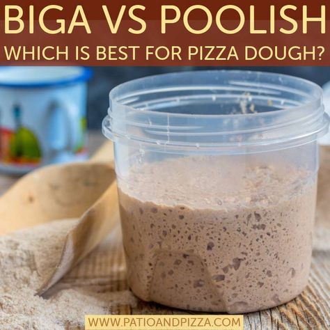 Biga vs Poolish: The Secret Ingredients to Perfect Pizza Dough Wood Fired Oven Recipes, Outdoor Pizza Oven Kits, Diy Oven, Freeze Pizza Dough, Commercial Pizza Oven, Pizza Oven Recipes, Pizza Life, Perfect Pizza Dough, Pizza Oven Kits