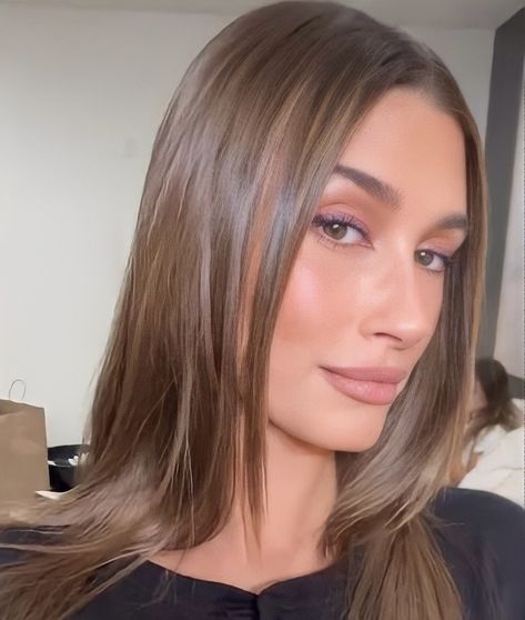 Hailey Bieber Mushroom Hair, Hailey Bieber Honey Blonde Hair, Chocolate Brown Hair Hailey Bieber, Hailey Bieber Dark Blonde, Hailey Beiber Medium Length Hair, Brunette Hailey Bieber, Bailey Bieber Hair Colour, Bronde Haircolor Hailey Beiber, Medium Brown Hair 2023