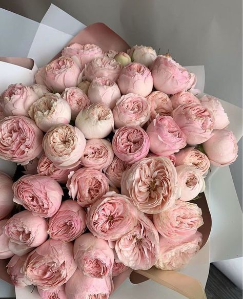 𝓜. on Twitter: "FLOWERS ARE MY WEAKNESS.… " Boquette Flowers, Nothing But Flowers, Flower Therapy, Peonies Bouquet, No Rain, Beautiful Bouquet Of Flowers, Luxury Flowers, Gardening Supplies, Love Flowers