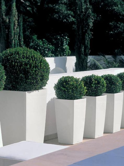 cubico-planters-2 Balkon Decor, Contemporary Planters, Modern Garden Design, Planter Design, Tall Planters, Low Maintenance Garden, Contemporary Garden, Self Watering Planter, Modern Landscaping