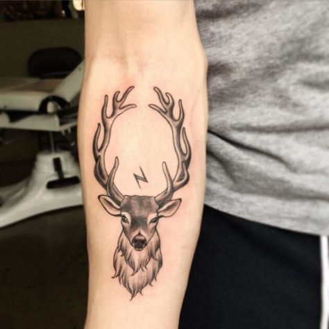 10+ Scottish Stag Tattoo Designs & Ideas | PetPress Deer Tattoo Meaning, Stag Tattoo Design, Buck Tattoo, Deer Tattoos, Antler Tattoos, Deer Head Tattoo, Elk Tattoo, Antler Tattoo, Deer Skull Tattoos