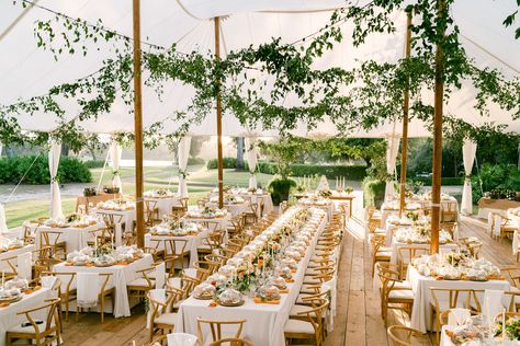 Farm Table Wedding Layout, 50 People Wedding Receptions, 250 Person Wedding Layout, Wedding Table Floor Plan, Wedding Reception Layout 150 Guests, Tent Wedding Reception Layout 150 Guests, Cocktail Style Wedding Reception Layout, 50 Person Wedding Seating, Wedding Layout Reception Floor Plans