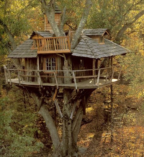 sanctuary / A Gathering For Kindred Souls Looking To Live Off The Grid / The Green Life <3 Beautiful Tree Houses, Balkon Decor, Tree Fort, Cool Tree Houses, Tree House Designs, Resort Design, Tree Houses, Garden Cottage, Beautiful Tree