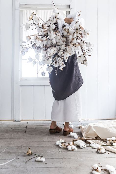 Art Floral Japonais, Cotton Stems, Cotton Plant, No Rain, Flowers For You, Foto Inspiration, Flower Power, Dried Flowers, Floral Arrangements