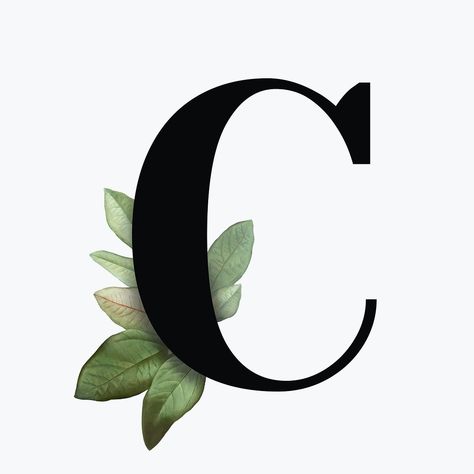 Botanical capital letter C font design | free image by rawpixel.com / Aum Letter C Font Design, Alphabet Images Design, C Alphabet Design, The Letter C Design, Name Art Designs Letters, C Letter Design, Letter C Tattoo, Letter C Design, N Letter Design