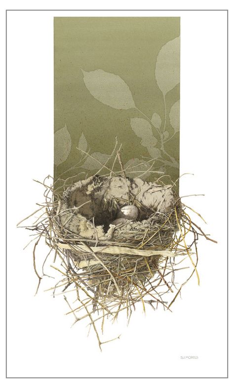 Nest Illustration, Bird Nests Art, Bird Nest Painting, Bird Art Prints, Birds Nests, Nest Art, Animal Tattoo Ideas, Bird Nests, Birds Nest