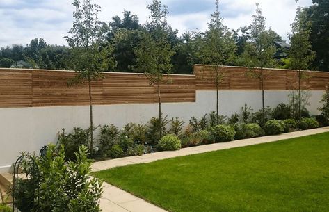 Garden Wall And Fence Ideas, Concrete And Wood Fence Ideas, Fence Higher Privacy, Back Fence Privacy Ideas, Higher Fence Ideas, High Garden Fence Ideas, Garden Wall Fence Ideas, Contemporary Fencing Ideas, Privacy Fence On Retaining Wall