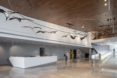 © Amit Geron Museum Reception Desk, Lobby Interior Design Entrance, Lobby Entrance Design, University Interior, University Interior Design, University Photography, Museum Interior, Museum Design, Lobby Interior Design