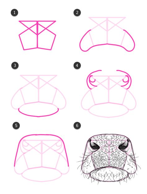 How to draw a cow nose/mouth                                                                                                                                                      More Draw A Cow, Human Nose, Cow Nose, Face Abstract, Cow Drawing, Draw Animals, Cow Face, Cow Pictures, 강아지 그림