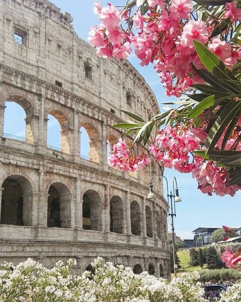 Rome Italy Aesthetic, Rome Painting, Italy Trip Planning, Rome Photo, Italy Street, Rome City, Italian Landscape, Italy Map, Italy Aesthetic