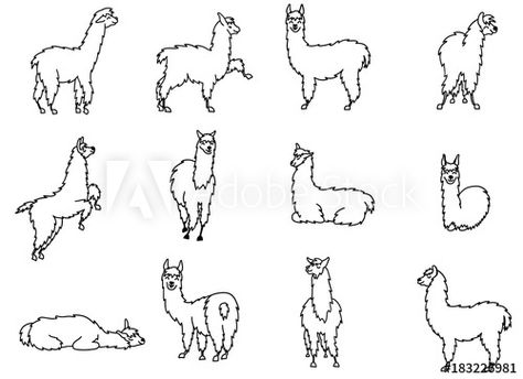 Drawing For Print, Maya Angelou Quotes Strength, Llama Tattoo, Peru Tattoo, Alpaca Drawing, Cute Lama, Outline Cartoon, Llama Drawing, Cartoon Llama