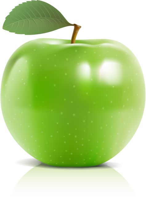 Shiny green apple vector material - Vector Food free download Apple Vector, Funny Fruit, Fruit Vector, Food Clipart, Painted Cottage, Vector Food, Watercolor Fruit, Fruit Photography, Beautiful Fruits