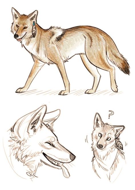 Coyote Drawing Reference, Coyote Art Drawing, Coyote Reference, Coyote Therian, Coyote Art, Coyote Drawing, Coyote Tattoo, Coyote Animal, Fox Silhouette