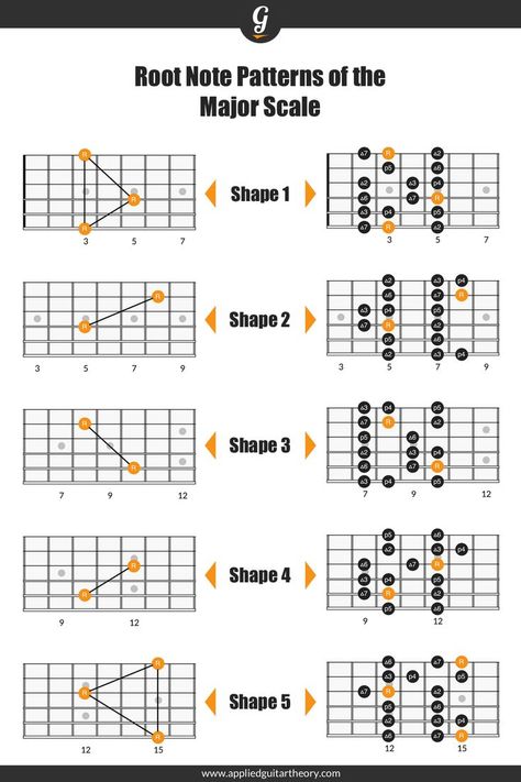 Major scale roots on guitar fretboard diagrams Minor Scale Guitar, Learn Guitar Scales, Pentatonic Scale Guitar, Guitar Scales Charts, Guitar Chords And Scales, Guitar Tabs And Chords, Jazz Guitar Lessons, Guitar Chord Progressions, Minor Scale