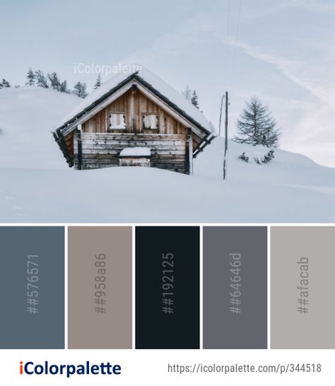 Color Palette Ideas from Snow Winter Home Image Ski Lodge Color Palette, Ski Chalet Color Palette, Log Cabin Interior Paint Colors, Ski Homes Interior, Cabin Color Palette, Nordic Cabin, Alaska House, Ski House Decor, Rgb Color Codes