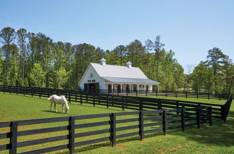 This idyllic farm just outside the Perimeter is a haven for humans and horses alike - Atlanta Magazine 5 Acre Horse Farm Layout With House, Horse Farm Landscaping, Small Horse Farm Layout With House, Luxury Animal Farm, Farm Layout Ideas, Farm Layout 10 Acres, Horse Pasture In Front Of House, Idyllic Farm, State Farm Arena Atlanta