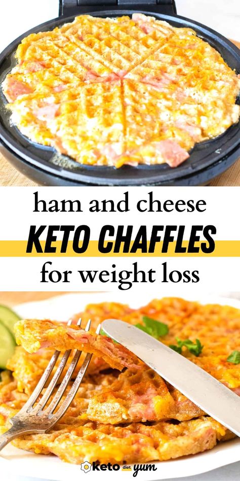 Keto Ham and Cheese Chaffles Cheese Chaffles, Keto List, Ketosis Diet Recipes, Snackle Box, Keto Chaffles, Mini Grill, Keto Chaffle, Savory Ham, Healthy Low Carb Dinners