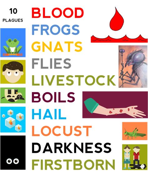 Ten Plagues of Egypt: Things You Might Not Know Moses And The 10 Plagues, 10th Plague Of Egypt Craft, Moses Plagues, Ten Plagues Of Egypt, Egypt Lessons, Egypt Activities, Egypt Crafts, Plagues Of Egypt, Expense Sheet