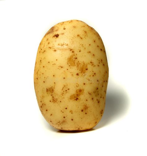 Potato. A single potato on a white background , #affiliate, #single, #Potato, #potato, #background, #white #ad Single Vegetables Images, Potato Picture Cute, Aesthetic Potato, Potato Background, Wyatt Core, Potato Wallpaper, Potato Aesthetic, Potato Photography, Potato Photo