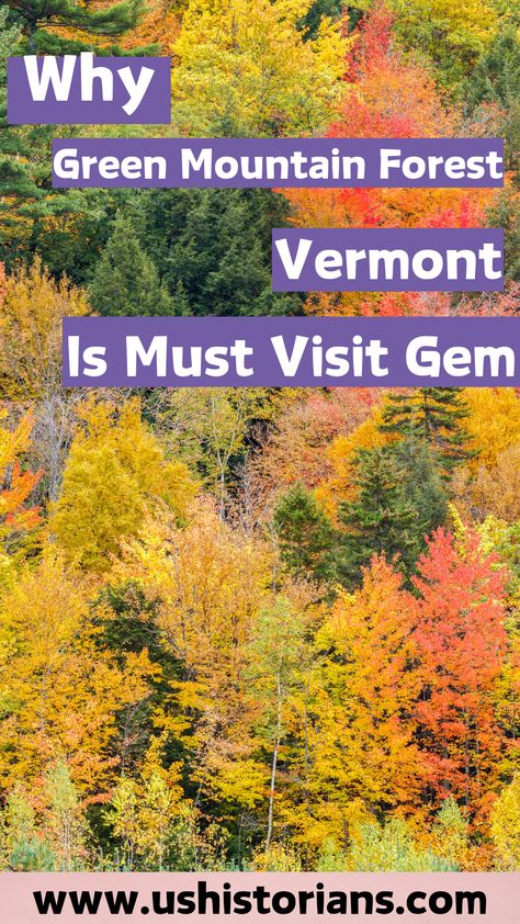 Why Green Mountain National Forest Vermont is the best place to visit Green Mountain National Forest, Green Mountain National Forest Vermont, Green Mountain Vermont, Green Mountains Vermont, Best Place To Visit, Forest Falls, Green Mountains, Place To Visit, Green Mountain