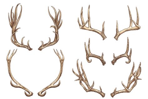 Antler Horns Drawing, Deer Antler Reference, Deer Horn Drawing, Deer Horns Reference, Deer Horns Tattoo, Deer Horns Drawing, Antlers Reference, Deer Horn Tattoo, Antler Reference