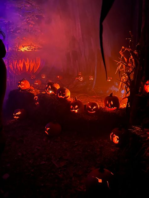 Halloween Theme Aesthetic, Spooky Party Aesthetic, Whimsigoth Halloween Aesthetic, Halloween Photography Aesthetic, Haunted House Attraction Aesthetic, Halloween At Night, Fun Halloween Aesthetic, Colorful Spooky Aesthetic, Halloween In Florida