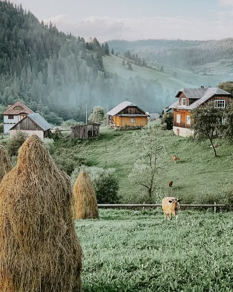 Ukraine Country, Aesthetic Village, Forest Village, Mountains Forest, European Aesthetic, Plant Aesthetic, Forest Nature, Mountain Village, Meal Recipes