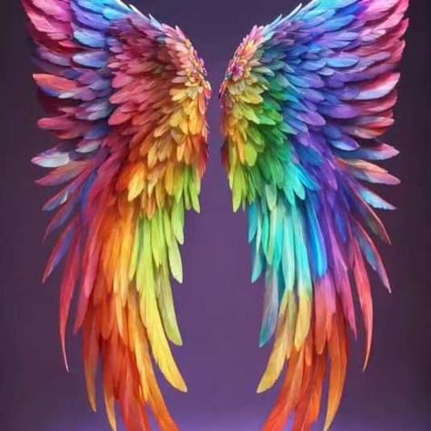 Rainbow Fairy Wings, Wings To Fly, Rainbow Fairy, Rainbow Fairies, Fairy Wings, Rainbow, Tattoos