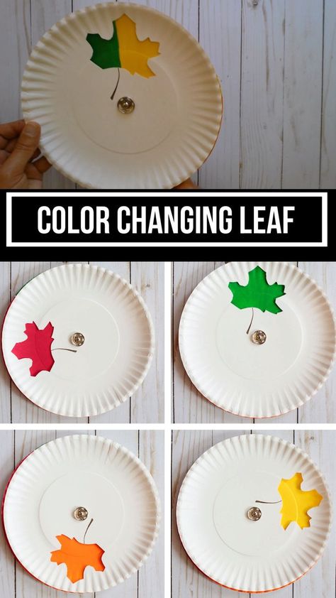 An easy fall paper plate leaf craft to make with preschoolers, kindergartners and older kids. This color changing leaf is great to notice nature changes and trees. #leafcraft #fallcraft #paperplatecraft #craftsforkids #fallcraftsforkids Color Changing Leaf Craft, Leaf Man Preschool Activities, Preschool Leaf Crafts, Leaf Crafts For Kids Preschool, Preschool Leaf Activities, Leaf Activities Preschool, Leaf Activities For Kids, Leaf Parts, Craft Leaf