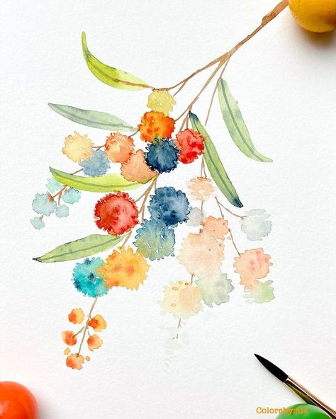 Wattle Watercolour, Australian Colours, Golden Wattle, Photo Paint, Watercolor Workshop, National Flower, Watercolor Paintings For Beginners, Watercolor Projects, Loose Watercolor