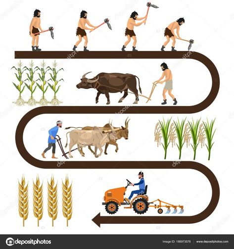 This show the journey that  how the man use  the primitive technique to modern machinery in his land  #must follow this link.. #agriculture #land #garden #crops #foodgrains   #plants #farmers Productive Landscape, Agriculture Poster, Agriculture Pictures, History Of Agriculture, Farm Illustration, Agricultural Revolution, Agriculture Technology, Agricultural Development, Modern Agriculture