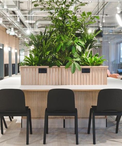 Office Greenery, Office Cafeteria, Office Green, Study Cafe, World Radio, Meditation Rooms, Corporate Office Design, Calming Spaces, Green Office