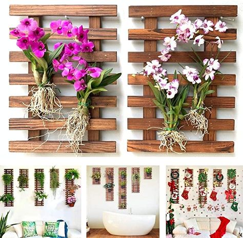 Room Decor For Teens, Succulent Holder, Vertical Garden Plants, Hanging Orchid, Indoor Orchids, Wall Plant Holder, Indoor Plant Wall, Orchid Planters, Plant Wall Decor