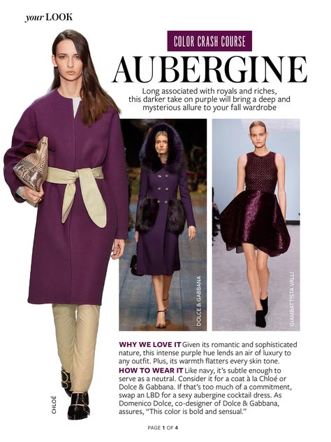 Color Crash Course - Aubergine / 1 of 4 sept 2014 Aubergine Color Palette, Color Crash Course, Aubergine Color, Color Outfits, Cool Color Palette, Color Combinations For Clothes, Ni Idea, Holiday Party Outfit, Crash Course