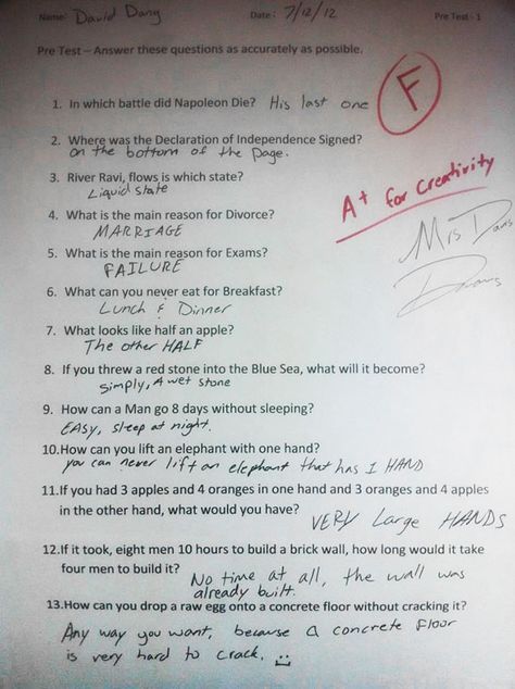 Funny Test Answers, Funny Test, Magia Das Ervas, Pinterest Humor, Totally Me, 웃긴 사진, E Card, School Humor, Laughing So Hard