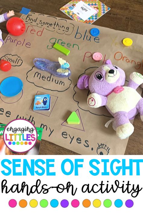 Teaching about the FIVE SENSES?  Use this hands-on activity to teach about the sense of sight. Sight Sense Preschool Craft, 5 Senses Block Center, Five Senses Science Experiments, 5senses Activities, Five Senses Taste Activities, Five Senses Bulletin Board Preschool, 5 Senses Sight Activities, My Five Senses Activities For Preschool, Sense Of Sight Activities Preschool