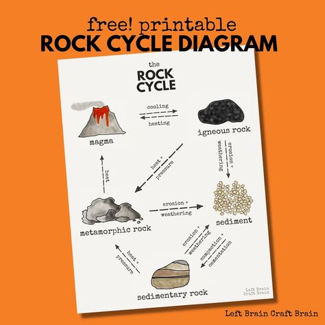 Rock Cycle Diagram, Rock Cycle Project, Projects To Do With Kids, Earth Science Middle School, Types Of Rocks, Rock Science, Earth Science Lessons, Geography Project, Rock Projects