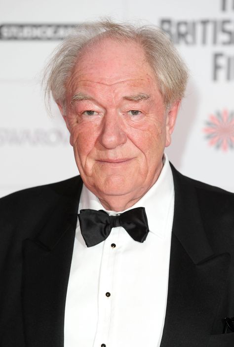 HAPPY 80th BIRTHDAY to MICHAEL GAMBON!! 10/19/20 Irish-British actor who has worked in theatre, television, and film. He was trained under Laurence Olivier and started his work on stage in the National Theatre. He received a Tony Award nomination for Best Actor in a Play for his work in David Hare's Skylight on Broadway. Gambon retired from stage acting in 2015 due to memory loss. Sacraments Of Initiation, Harry Potter Stars, Theater Acting, Breaking Bad Jesse, Johnny English, Uk Life, Michael Gambon, Harry Truman, The Prisoner Of Azkaban