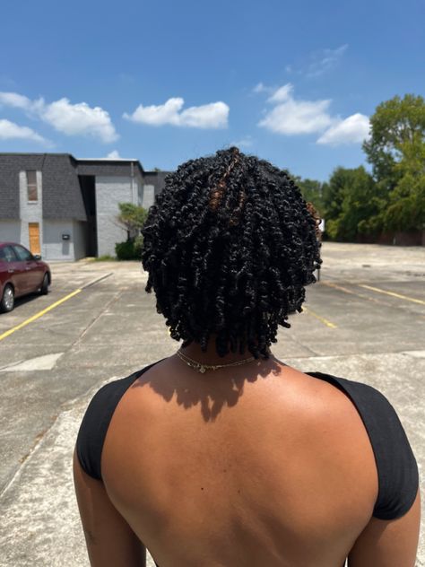 Passion Twists Natural Hair Short, Protective Hairstyles For Growth, Hair Ideas Natural Hair, Protective Hairstyles For Kids, Hair Care Routine Natural, Protection Hairstyles, Short Twists Natural Hair, Dread Ideas, Mini Twists Natural Hair