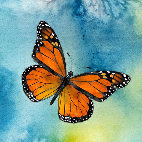 Monarch Butterfly Flying, Monarch Butterfly Watercolor, Monarch Butterflies Art, Butterfly Flying, Butterfly Art Drawing, Artsy Ideas, Butterfly Art Painting, Butterfly Blue, Butterfly Illustration