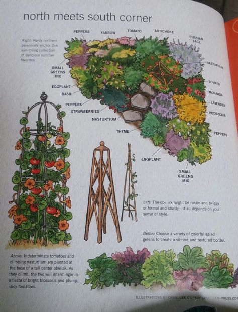 Companion planting edible garden plan Edible Garden Layout, Edible Front Yard Landscaping, Edible Garden Landscape, Edible Garden Design, Native Plant Landscape, Food Forest Garden, Permaculture Garden, Edible Landscape, Naturalistic Garden