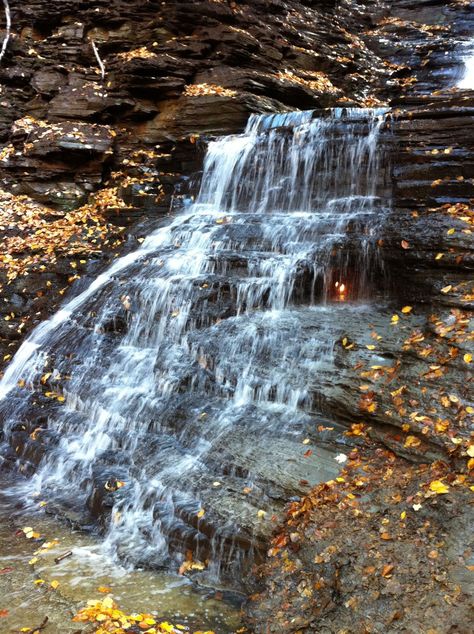 Eternal Flame Falls Trail, near Orchard Park, NY. 6.25 hr drive from NYC. The hike is a 0.8 mile moderately trafficked loop trail that features a waterfall and is good for all skill levels. Accessible from April until October. Dogs are also able to use this trail but must be kept on leash. Orchard Park Ny, 8 Mile, Eternal Flame, Hiking Shoes, The Great Outdoors, Hiking, Drive, Collage, Dogs