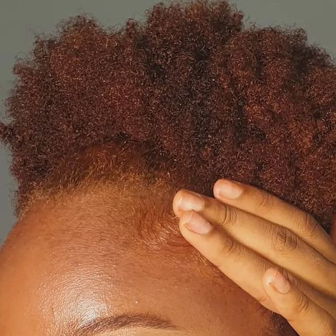 Ginger Afro Black Women, Ginger 4c Natural Hair, Ginger Afro, Afro Hair Dye, Afro Hair Types, Short Locs, Short Locs Hairstyles, Dyed Red Hair, Type 4 Hair