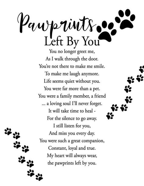 Missing My Pet Dogs, Missing My Puppy Quotes, Grieve Dog Quotes, Poems For Losing A Dog, Remembering Dog Quotes, Poems About Losing A Pet Cat, Rest In Peace Dog Quotes Pets, Losing My Dog Quotes, Loosing My Dog Quotes