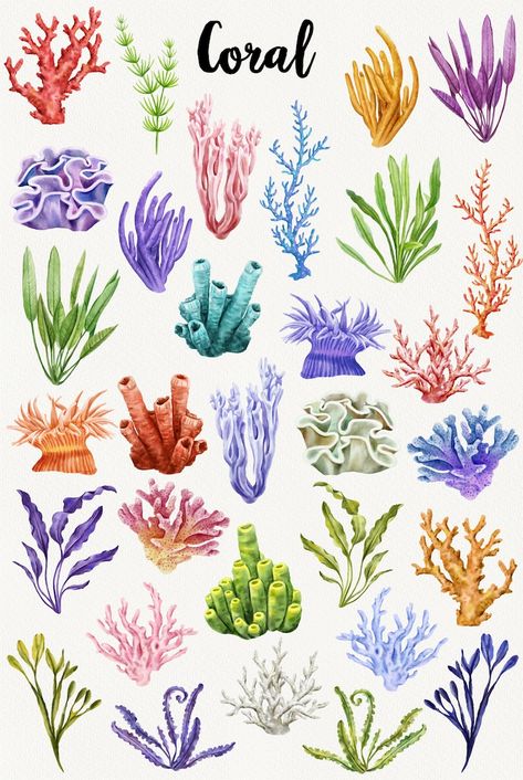 Coral Reef Tattoo, Coral Reef Clipart, Reef Tattoo, Watercolor Coral Reef, Crab Embroidery, Coral Reef Drawing, Coral Drawing, Sea Prints, Coral Painting