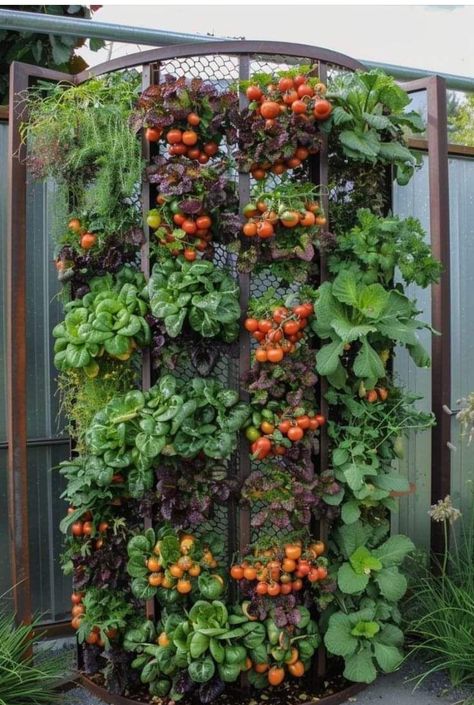 Diy Garden Soil, Vertical Garden Idea, Garden Soil Mixture, Vertical Vegetable Garden Ideas, Rooftop Vegetable Garden, Spices Garden, House Utensils, Edible Garden Ideas, Farming Garden